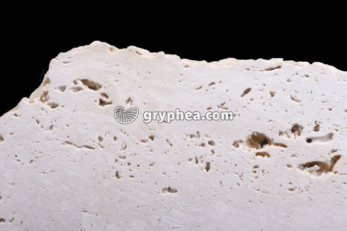 Travertin (détail) - gryphea.org